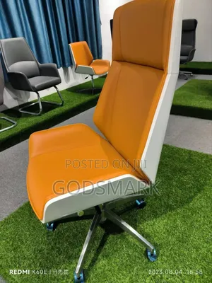 Ergonomic Office Chair