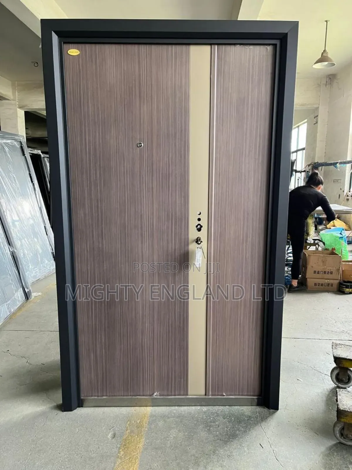 Modern Steel Security Door