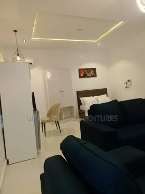 Furnished Mini Flat in Lekki Phase 1 for rent