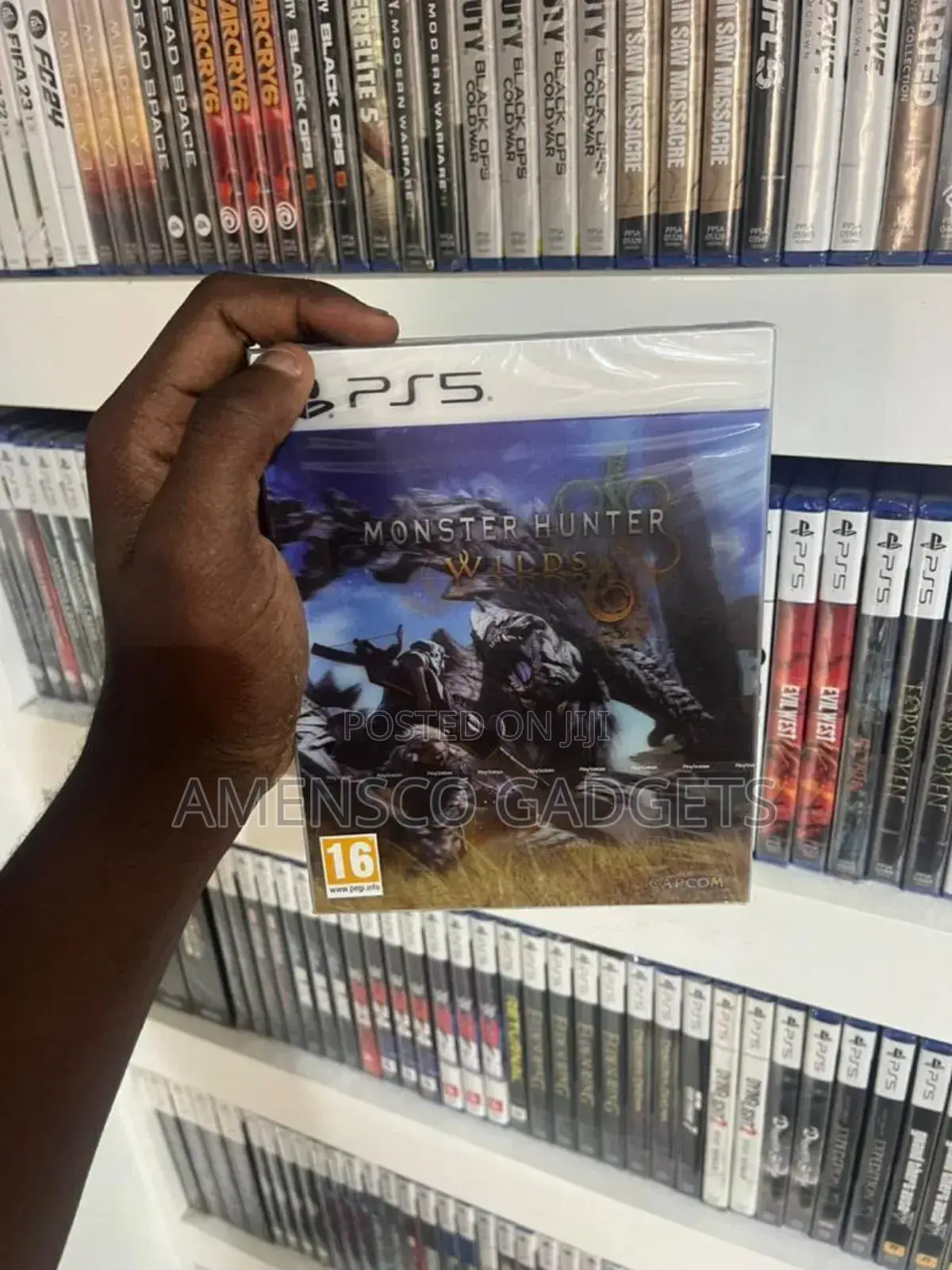 Monster Hunter Wilds