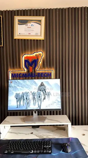 24” Dell Frameless Ips 2021 Model