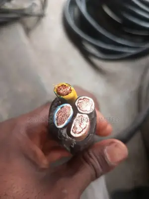 25m2x4core Standard Power Cable