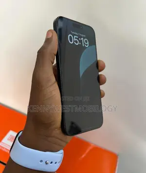 Apple iPhone 15 Pro Max 256 GB