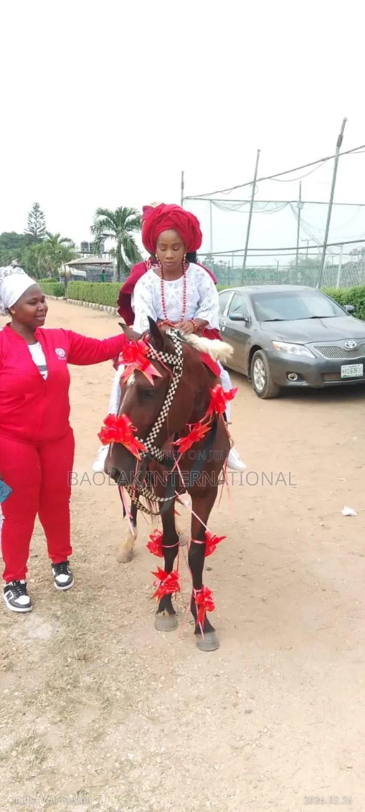 Horse Rental Services Available