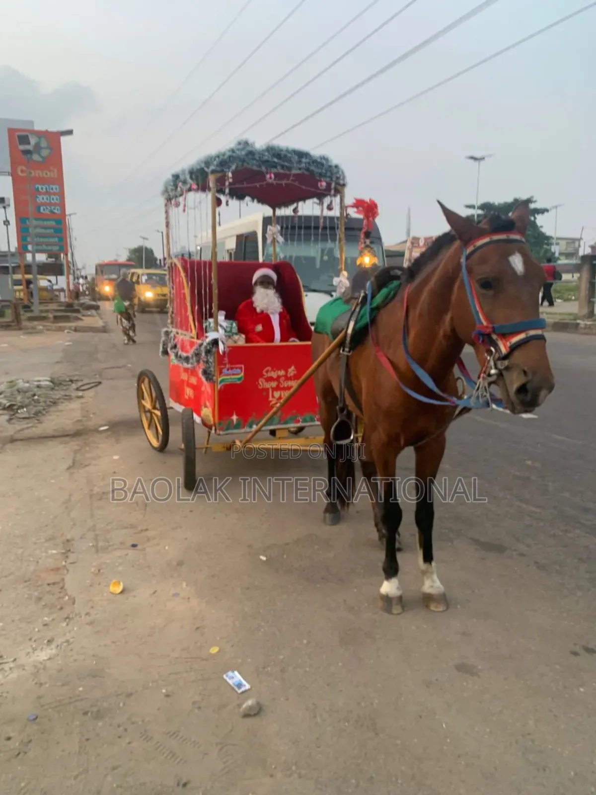 Horse Rental Services Available