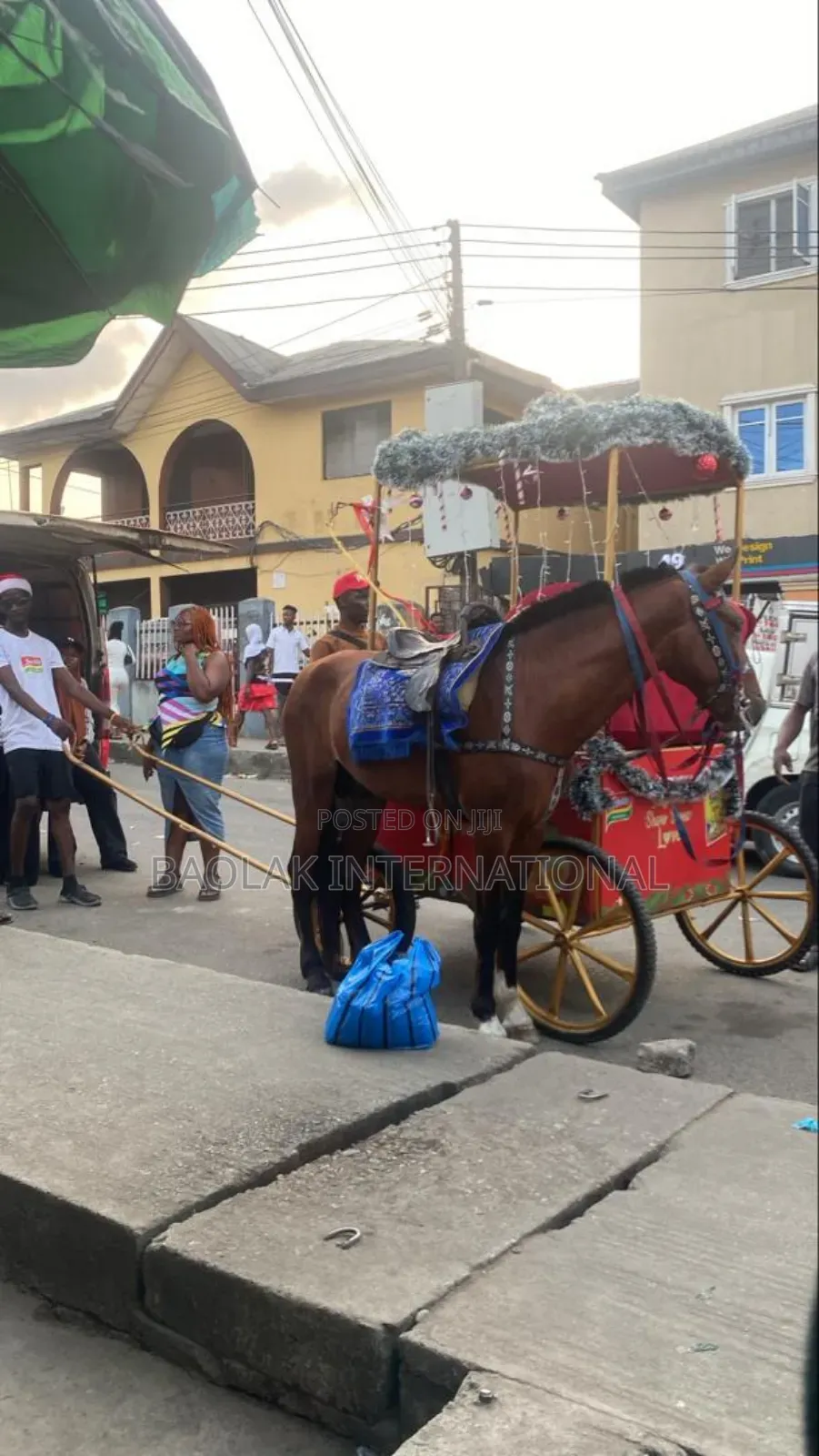 Horse Rental Services Available