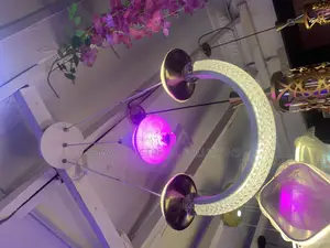 Single Drop Chandelier