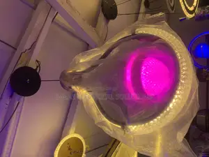 Single Drop Chandelier