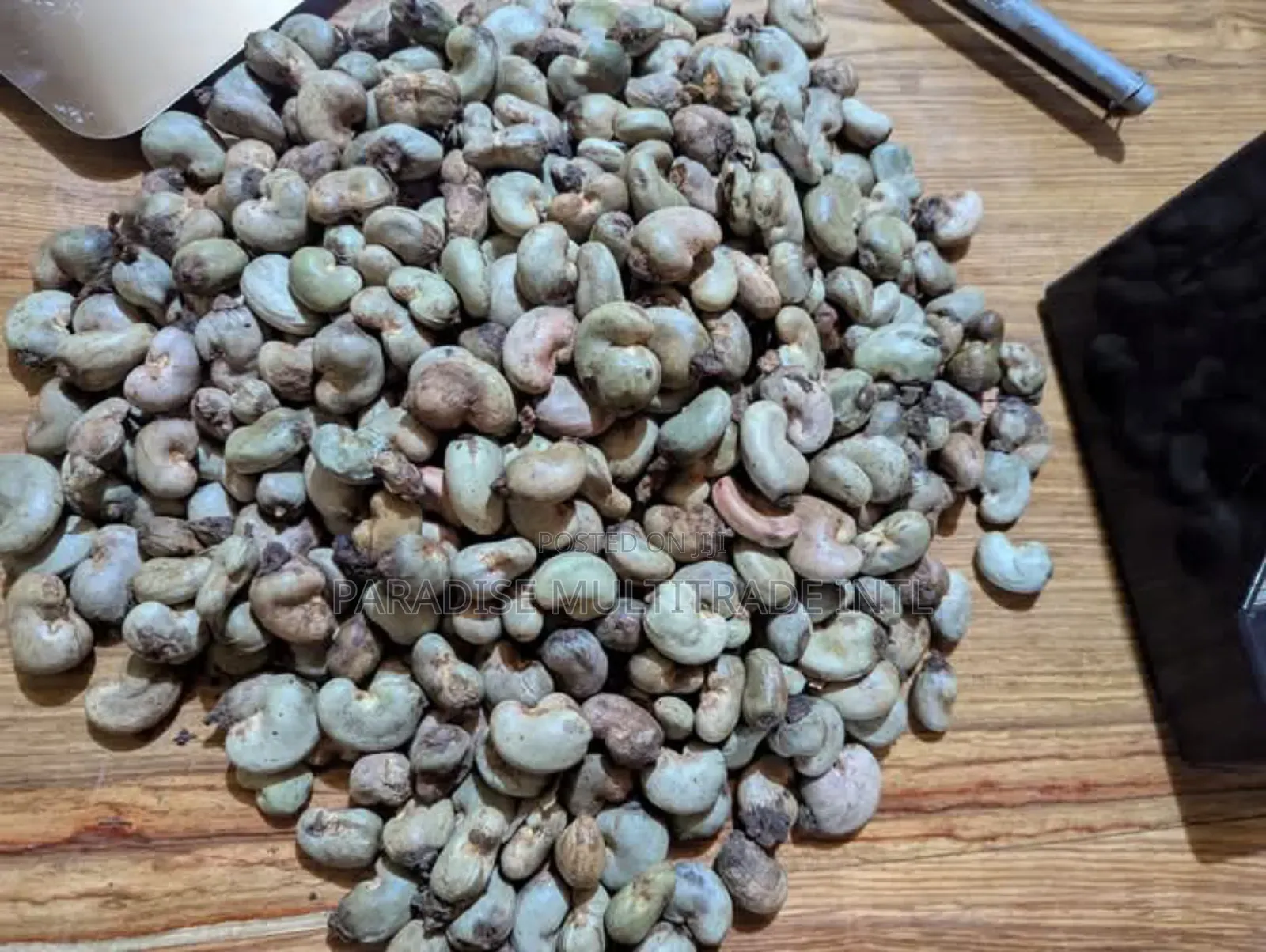 Raw Cashew Nut RCN