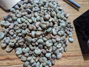 Raw Cashew Nut RCN
