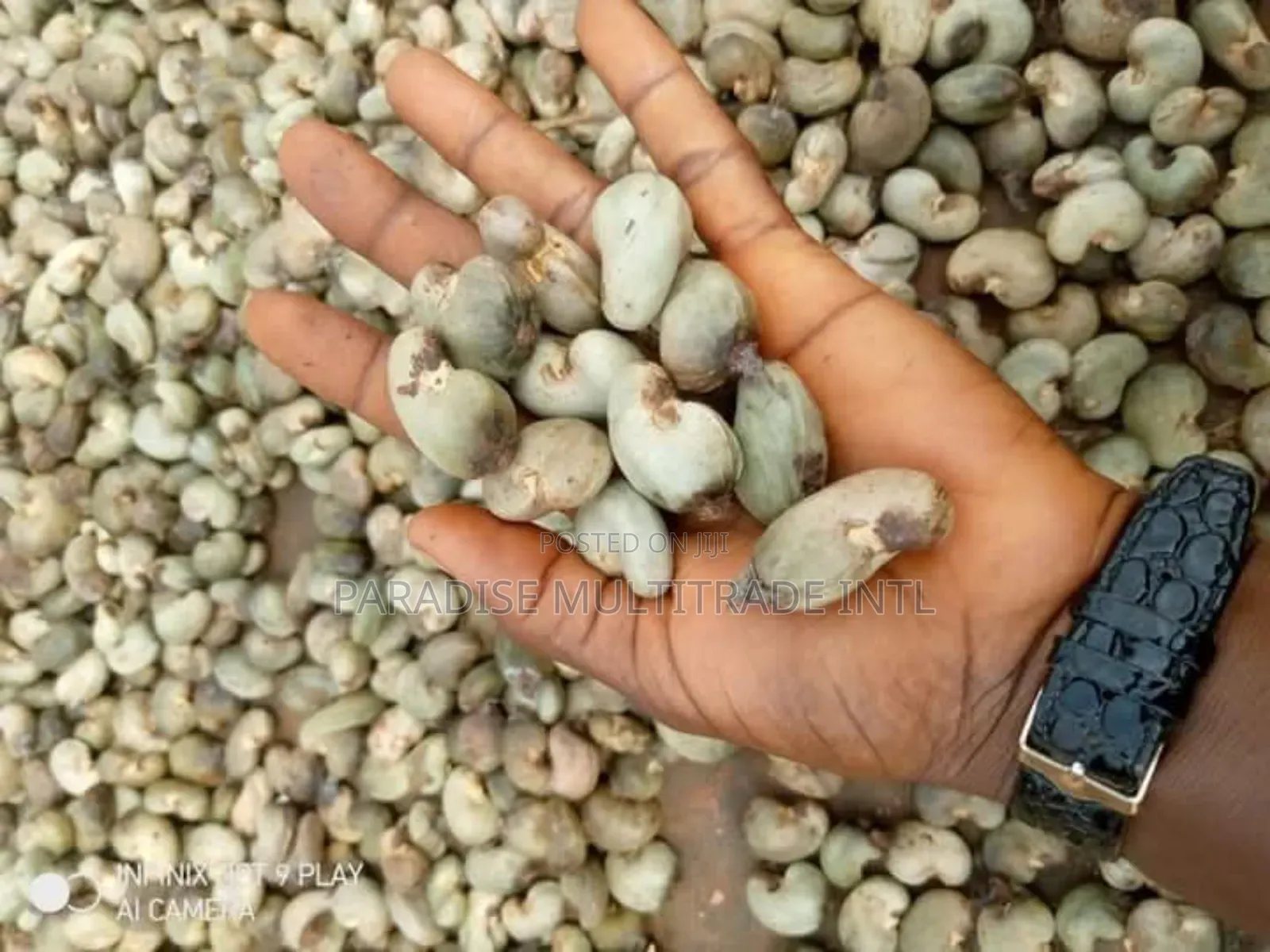 Raw Cashew Nut RCN