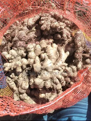 Fresh Ginger
