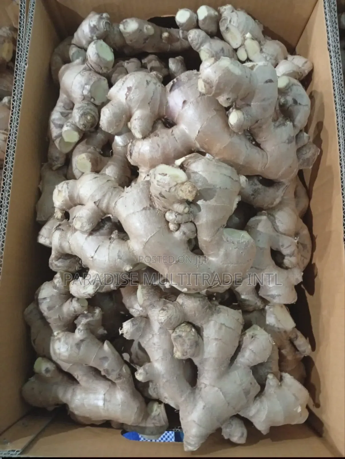 Fresh Ginger