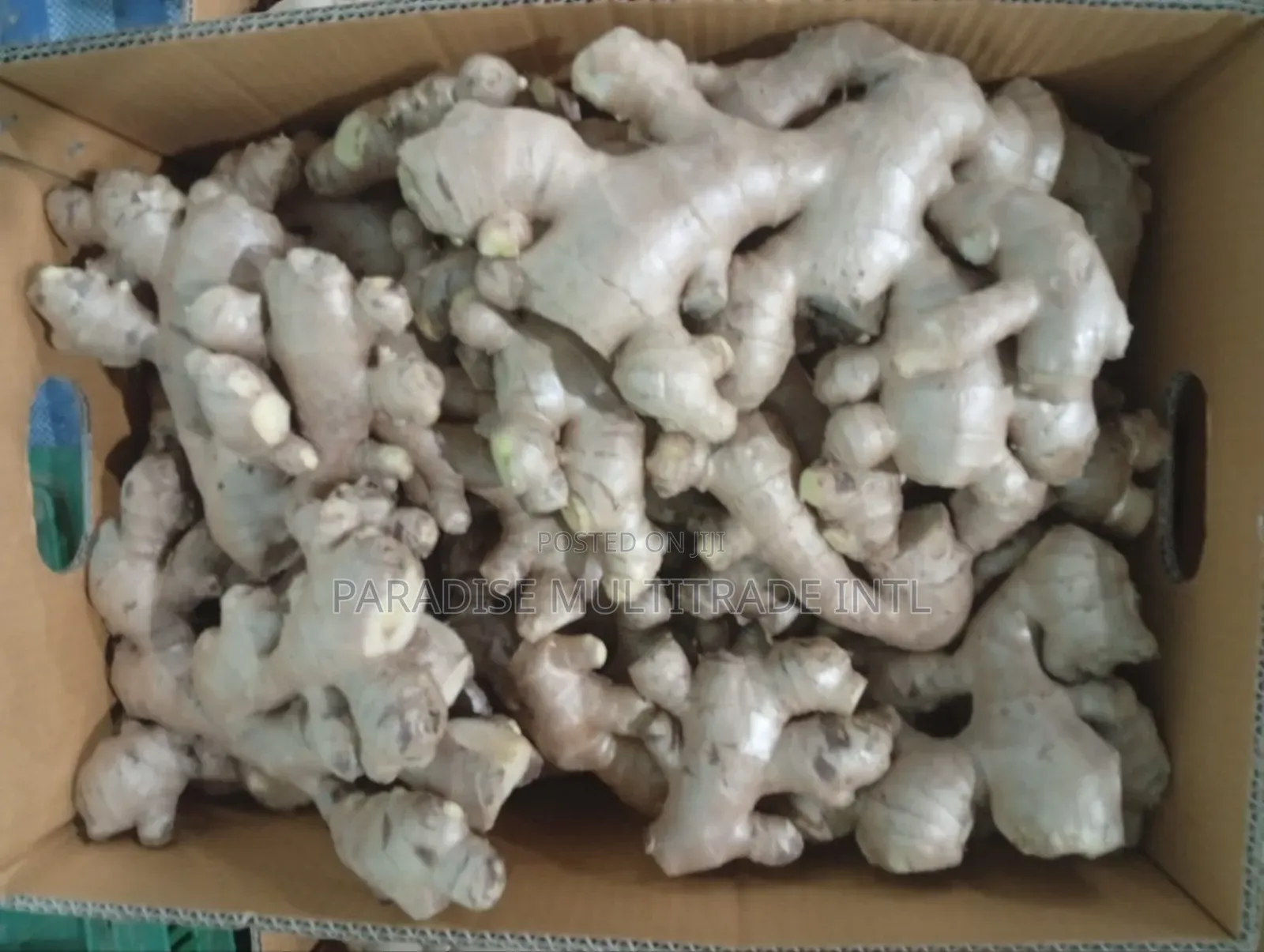 Fresh Ginger