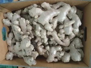 Fresh Ginger
