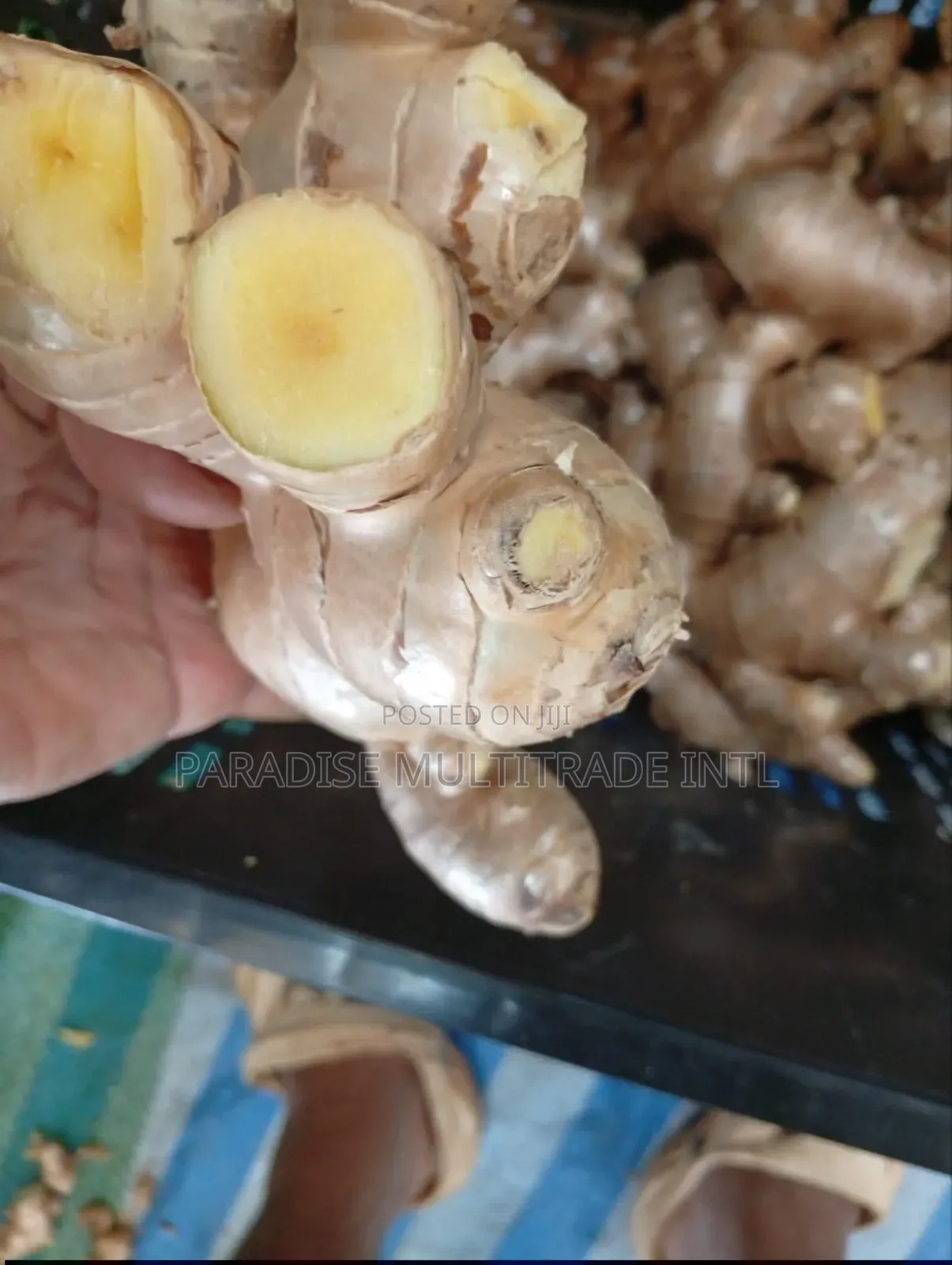Fresh Ginger