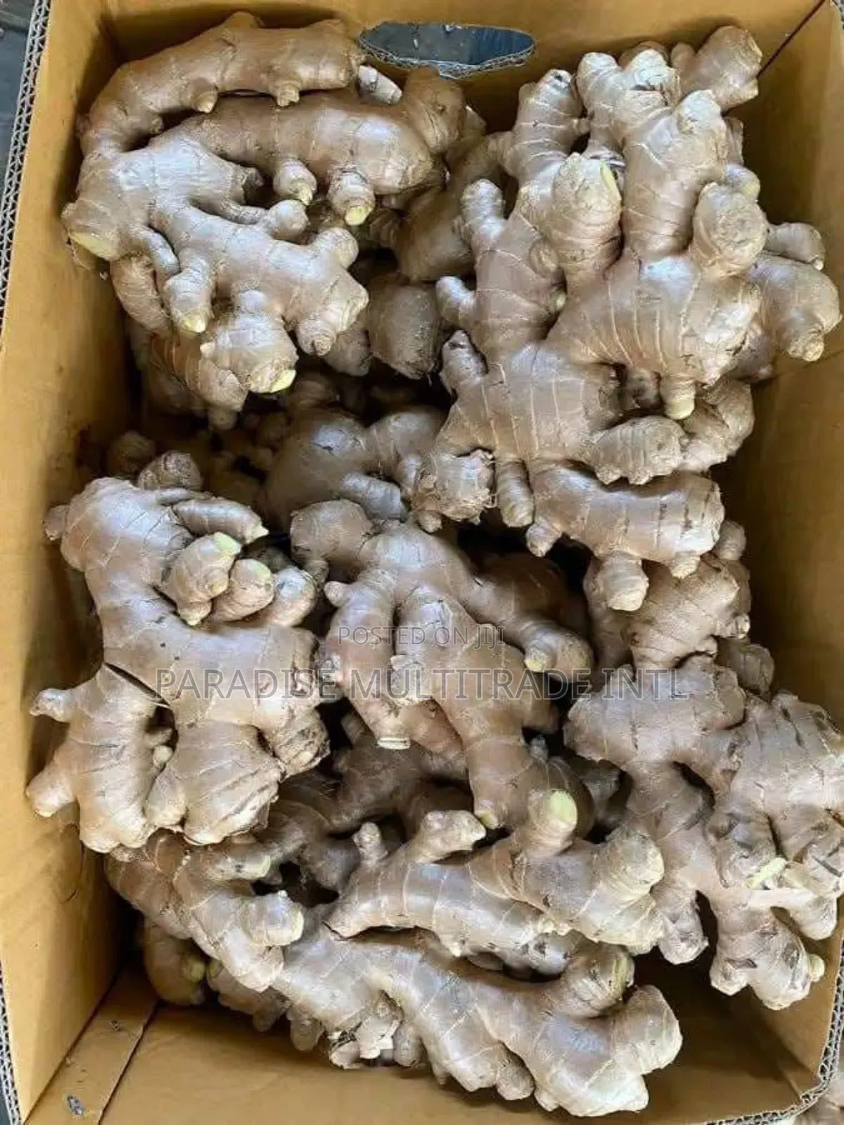 Fresh Ginger
