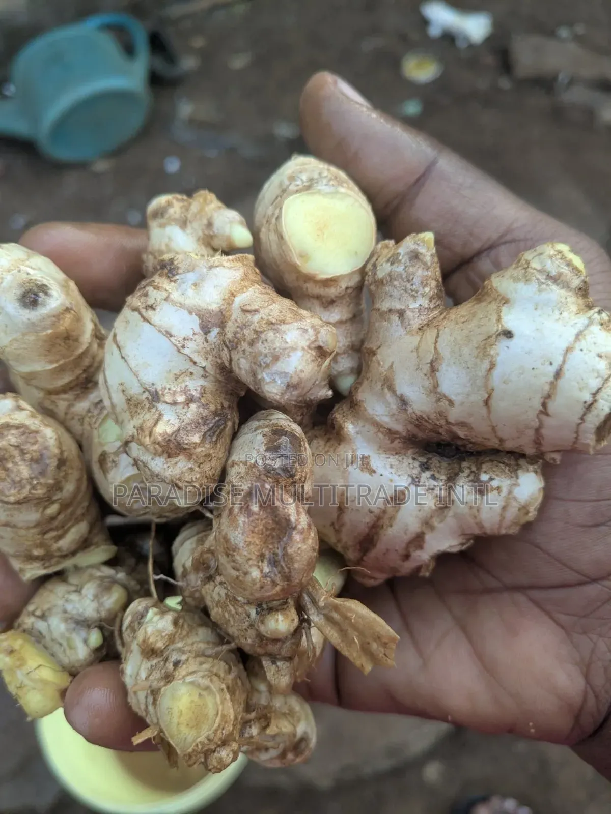 Fresh Ginger