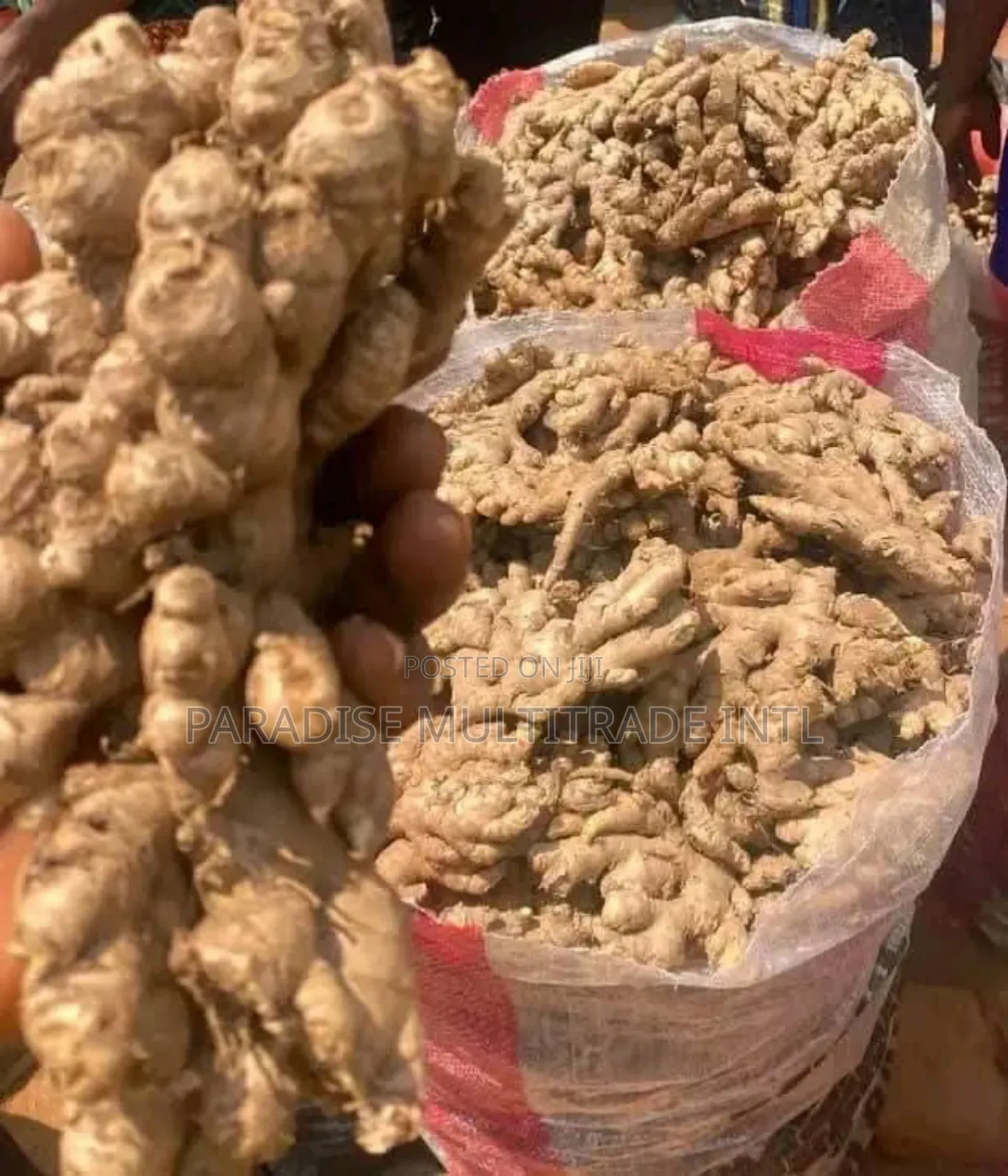 Fresh Ginger