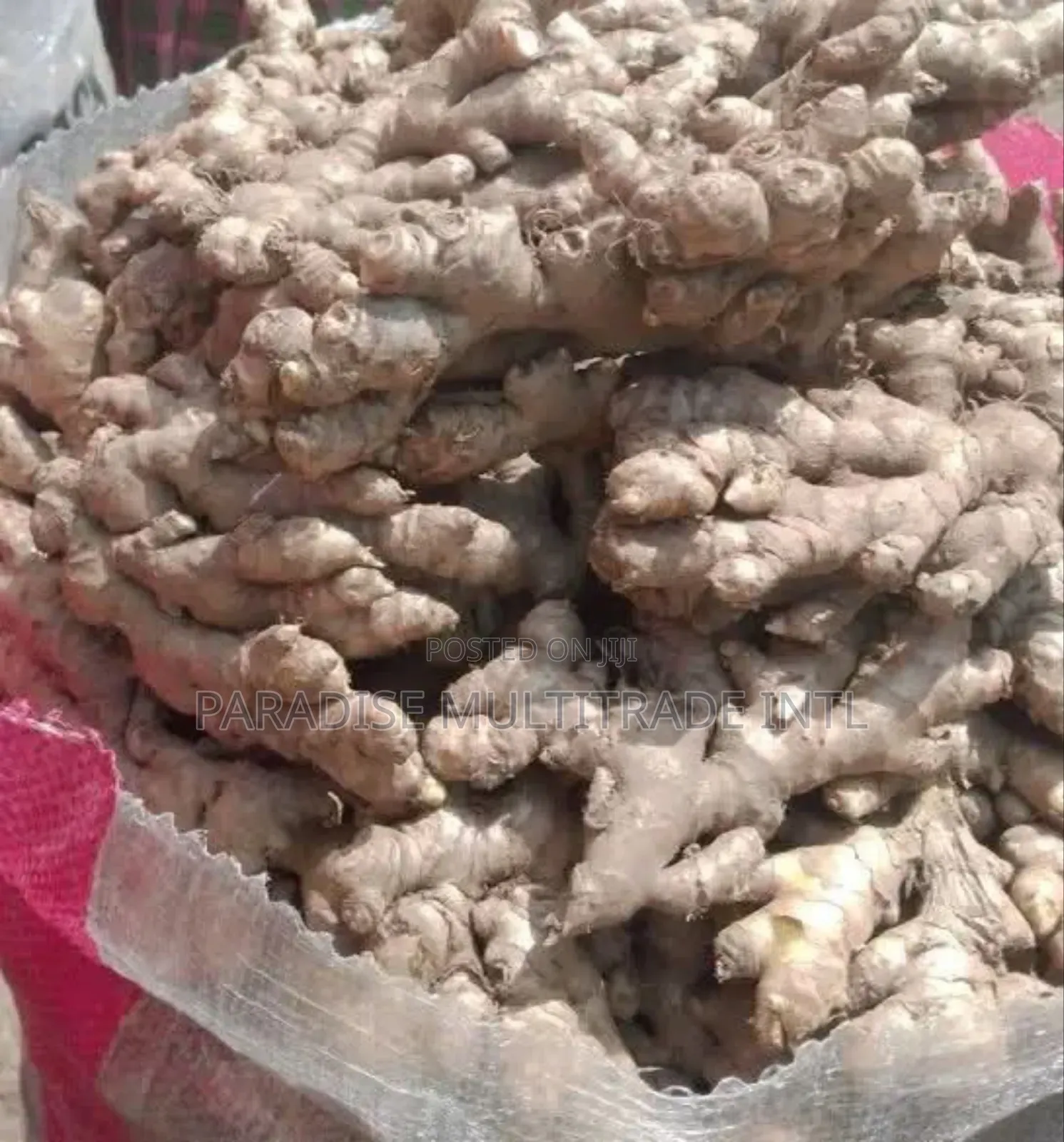 Fresh Ginger