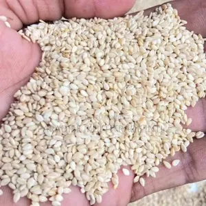 White Sesame Seed 98% Cleaned