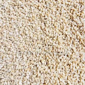 White Sesame Seed 98% Cleaned