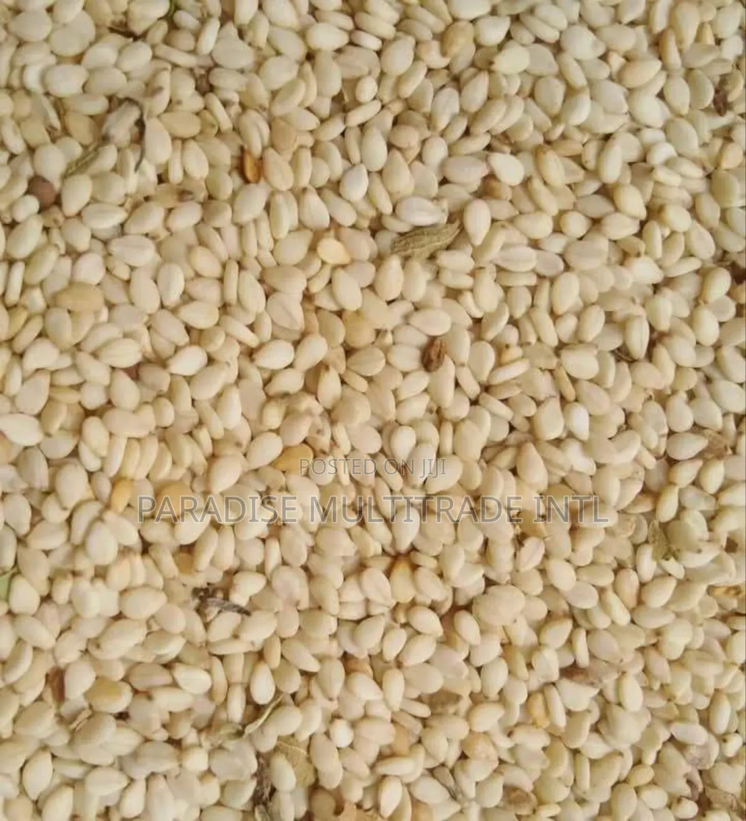 White Sesame Seed 98% Cleaned
