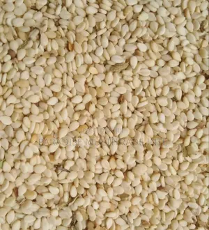 White Sesame Seed 98% Cleaned