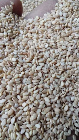 White Sesame Seed 98% Cleaned