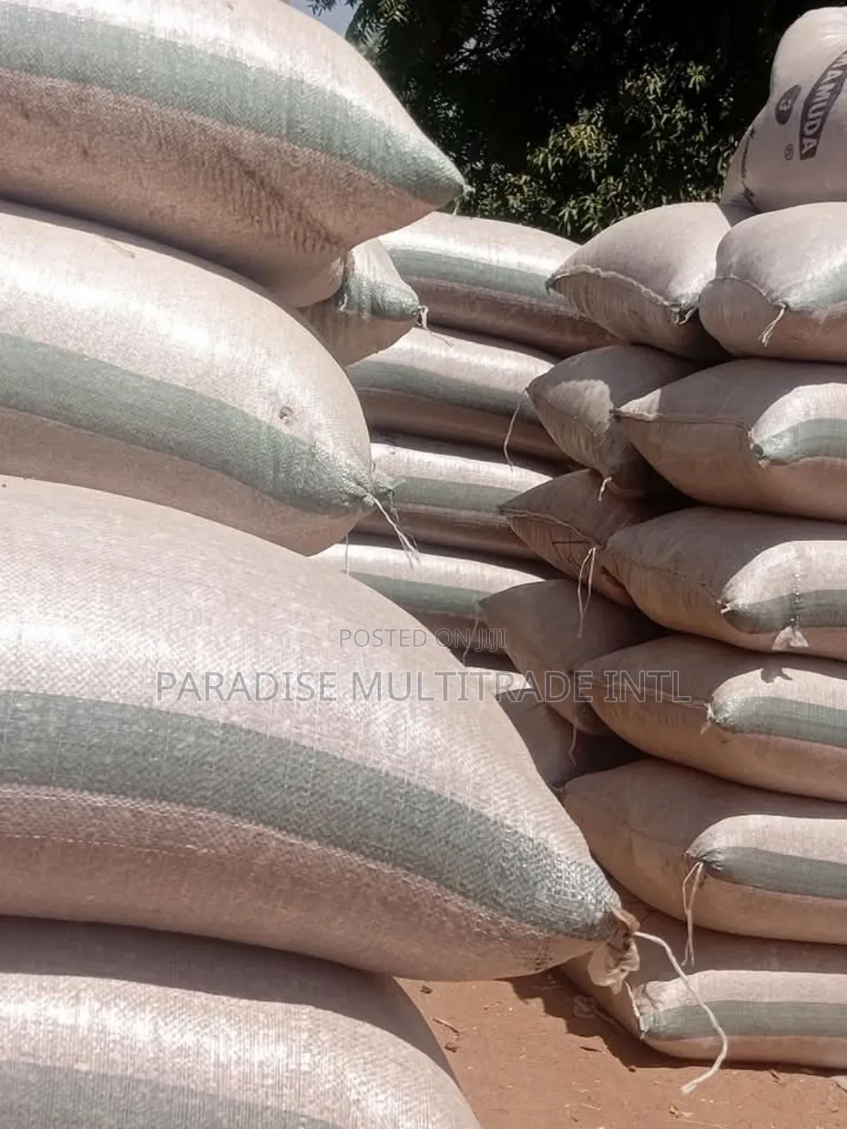 White Sesame Seed 98% Cleaned