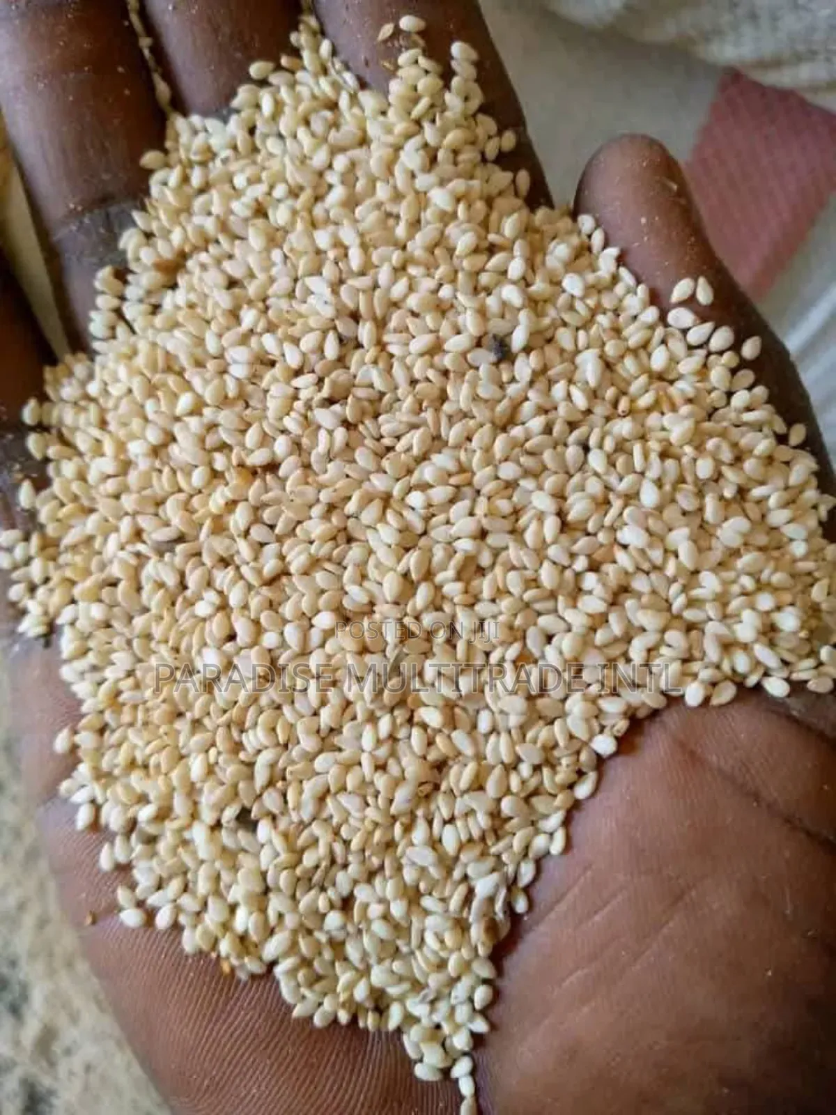 White Sesame Seed 98% Cleaned