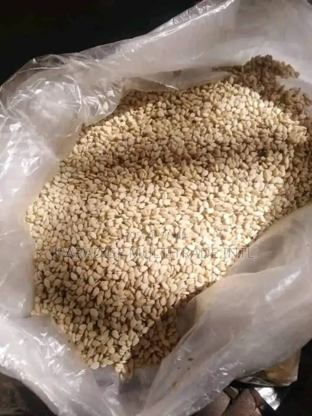 White Sesame Seed 98% Cleaned