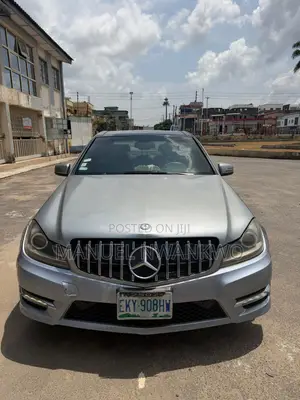 Mercedes-Benz C300 2009 Gray