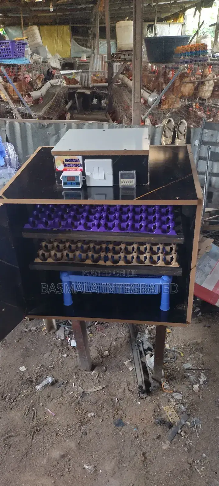 Egg Incubator Fabrication