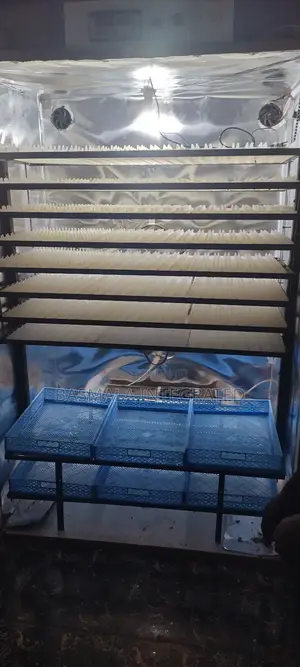 Egg Incubator