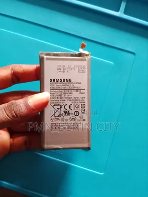 Samsung Galaxy S10 Plus Battery