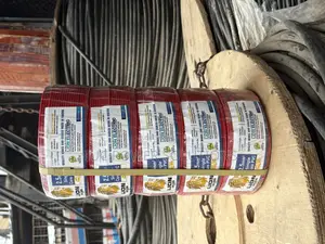 Lion Wire and Cable 2.5mm Single