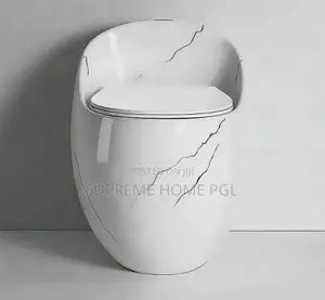 Modern Siphon Jet Flush Toilet