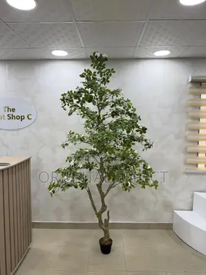 Artificial Gardenia Tree – Realistic Faux Plant for Home Décor Lagos