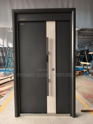 Security Entrance Door