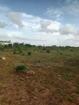 Ezzangbo*, *Ohaukwu Lga* Right Along the 135 Junction Airport Rd
