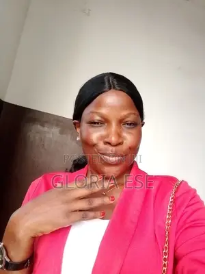 Sales Representative in Ikotun Lagos