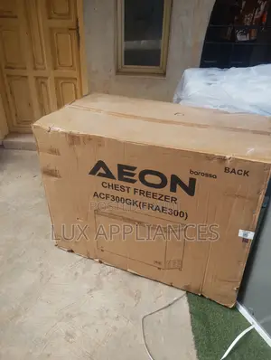 Aeon 300l Freezer for Ice Cream Storage