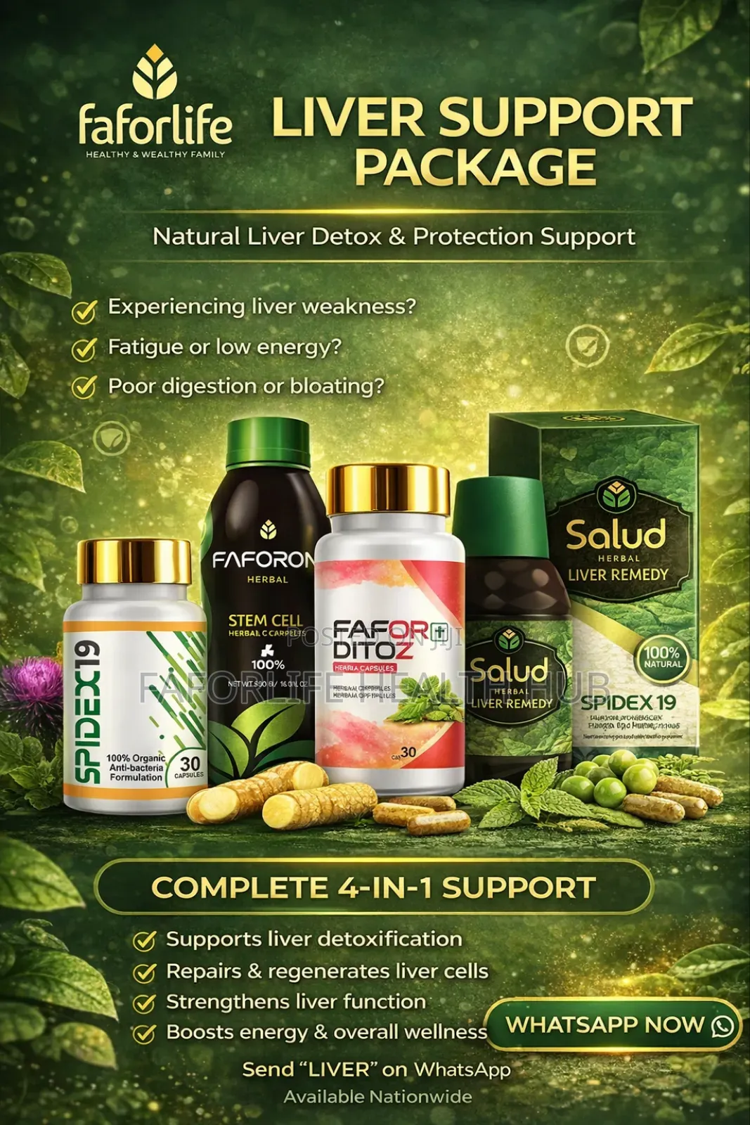 Liver Support Wellness Package