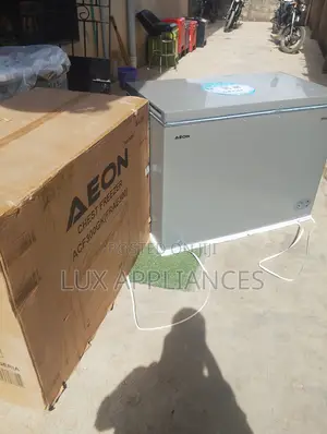 Aeon 300l Freezer for Meat Storage