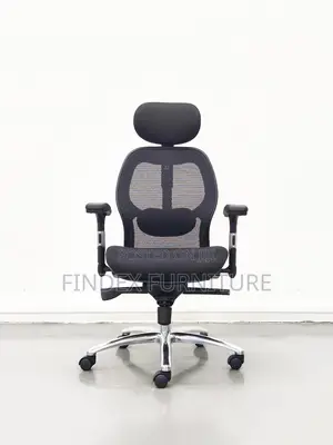 Executive Office Mesh Chair