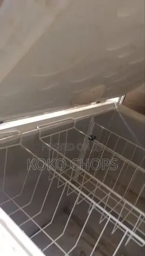 Thermocool Deep Freezer