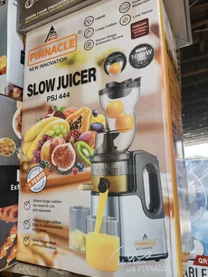 Slow Juicer for All Kinds of Juice