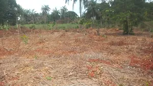 1 Acre Of Land