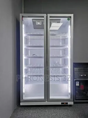 Double Door Inverter Chiller/Showcase Fridge - Gray